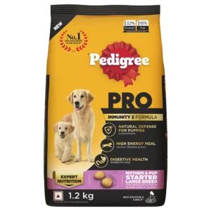Pedigree pro for mother pup