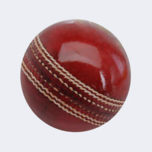 Endlessly 1 Cricket Leather Ball